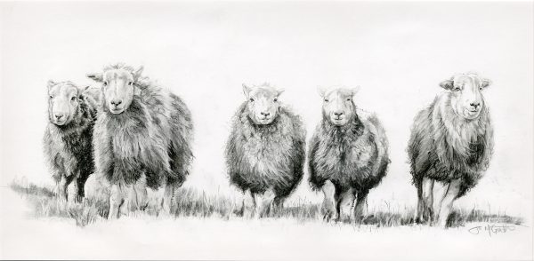 Here Come The Girls