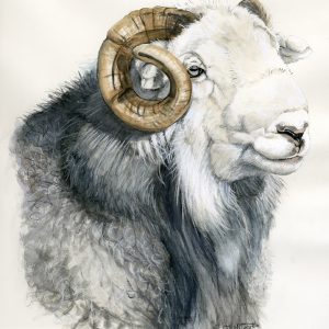 Tup 2