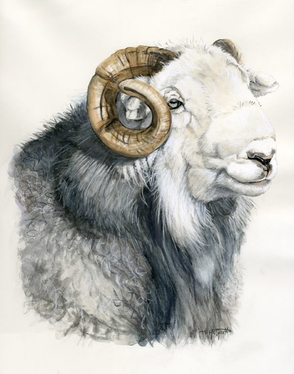 Tup 2