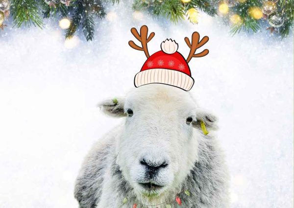 Festive Madge