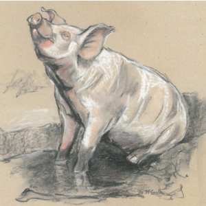 023 Percy The Preverbial Pig - (Colour) Percy The Proverbial Pig - (Colour)