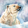 Churchill Bear