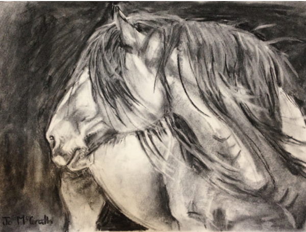 Charcoal Clydesdale