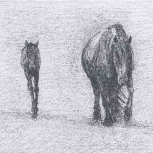 062 Fell Mare and Foal Fell Mare and Foal