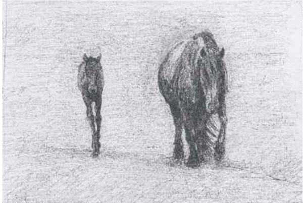 Fell Mare and Foal