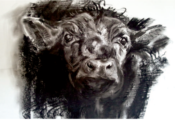 Esps Calf
