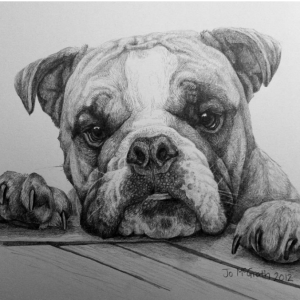 Winston (Pencil)