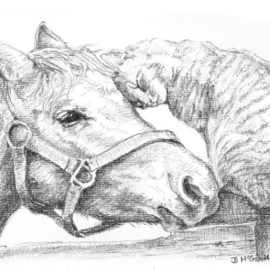 077 Stable Mates Stable Mates