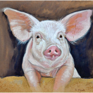 098 Piglet over Sty Piglet over Sty