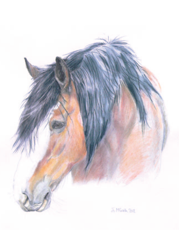 Milly's Portrait
