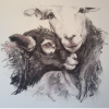 Herdwick Ewe and Lamb