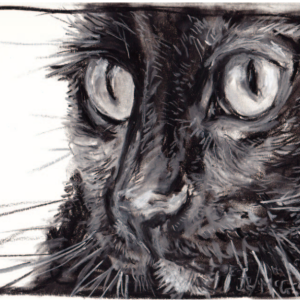 Thelma