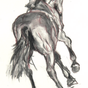 Dave Cantering away