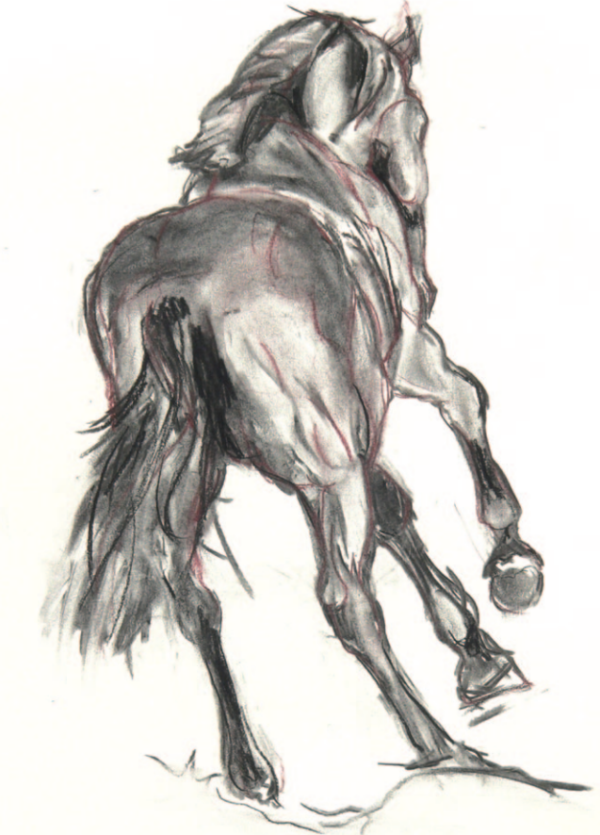 Dave Cantering away