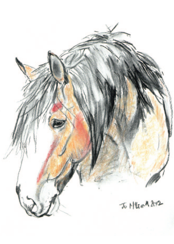 Millys Portrait - Charcoal