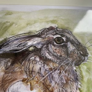 Hare 1