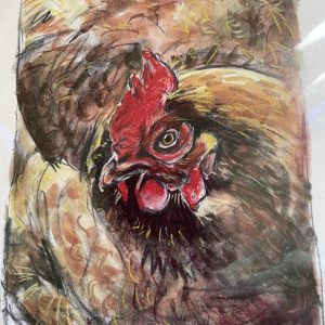 Mary's Hen