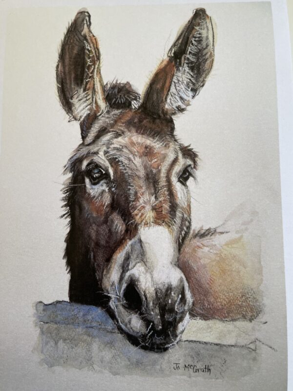 Donkey - (Brown)