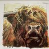 Highland Bull