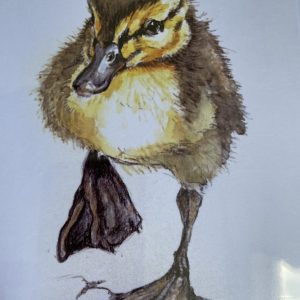 Duckling!