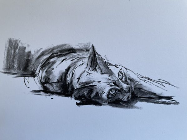 Marmalade