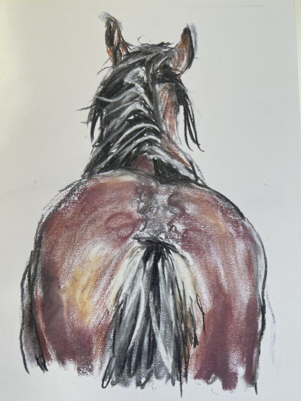 Milly's Rear View