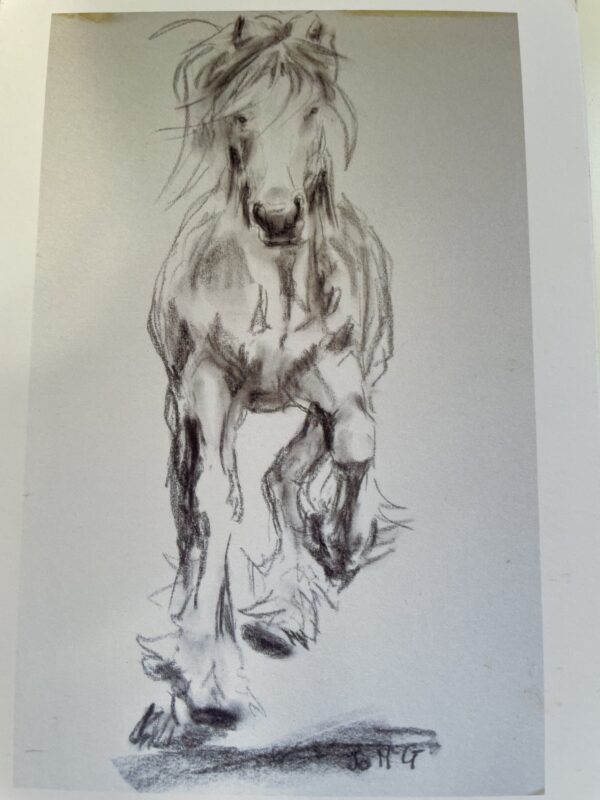 Galloping Fell