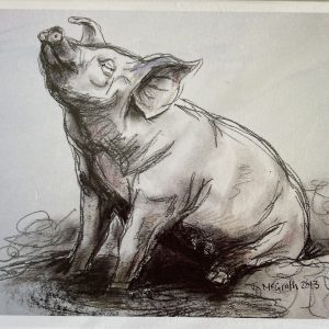 Percy The Proverbial Pig