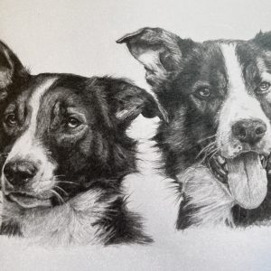 Collie Brothers