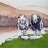 Herdwick Couple