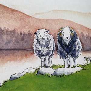 Herdwick Couple