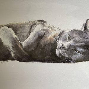 Blue Cat (Ripley)