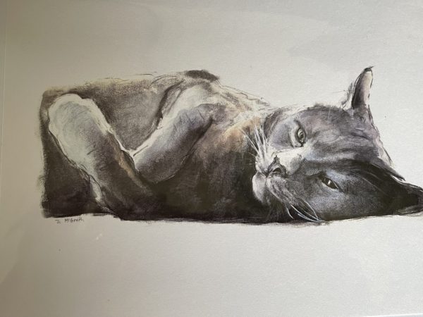Blue Cat (Ripley)