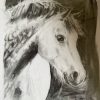 Dappled Welsh-Charcoal Horse