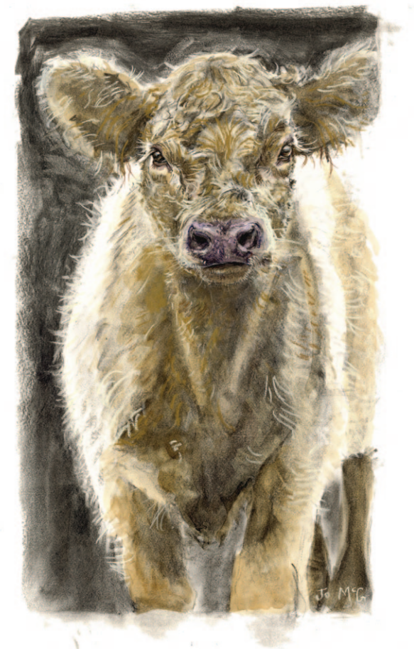 Dun Beltie