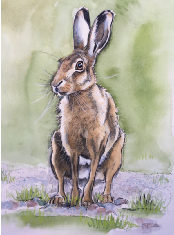 Penny Bridge Hare No 1
