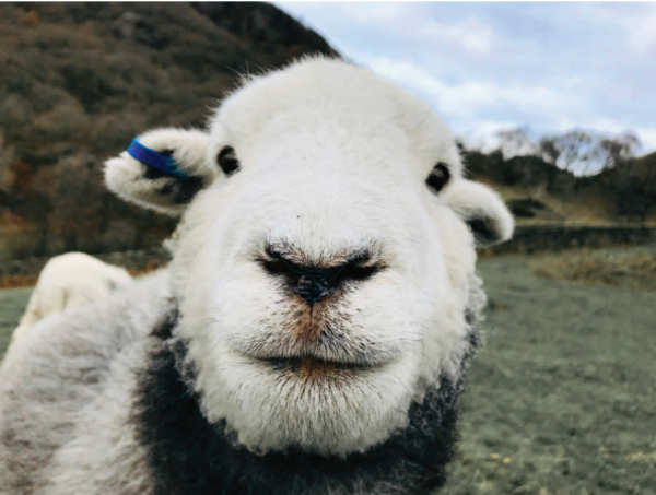 Smile, and the World Smiles With You